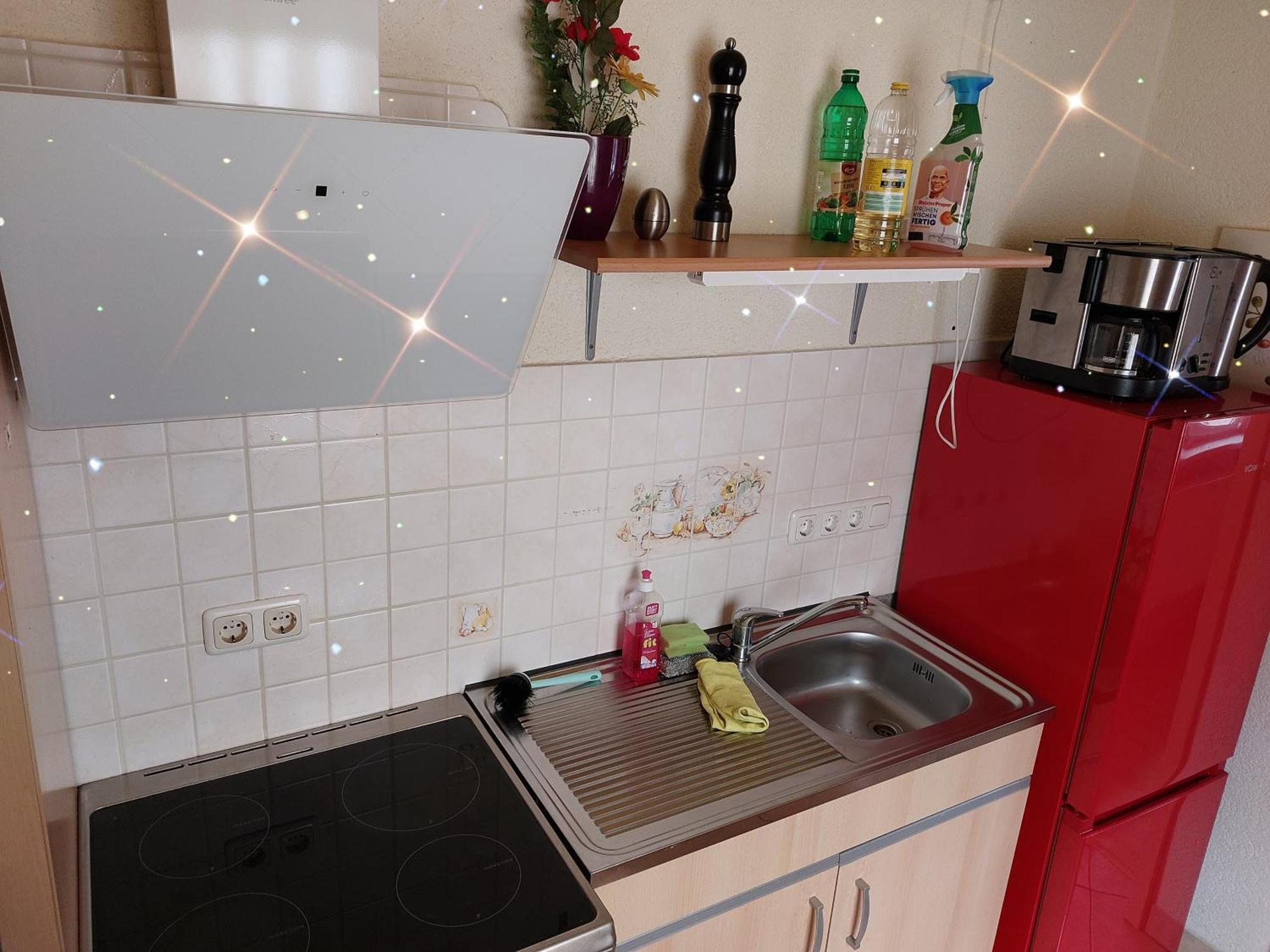 Landhauswohnung Am Thueringer Meer - Fuehlen Wie Zuhause Remptendorf Exteriör bild